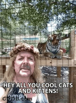 Man With Flower Crown Next To Tiger GIF