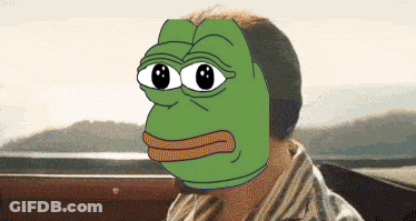 Man With Frog Face On Head GIF