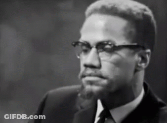 Man With Glasses And Beard In Suit And Tie GIF
