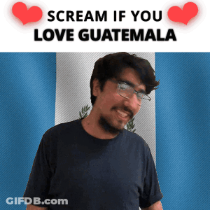 Man With Glasses And Beard Smiling In Front Of Flag Saying Scream If You Love Guatemala GIF