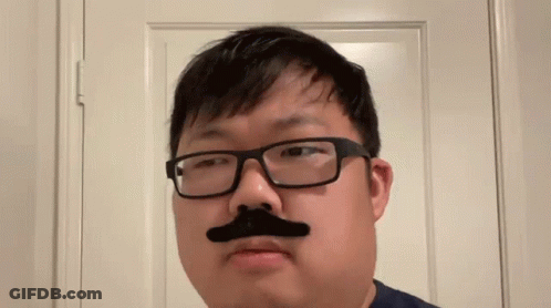 Man With Glasses And Fake Mustache GIF