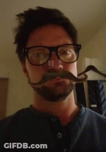 Man With Glasses And Fake Mustache GIF