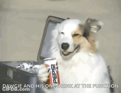 Man With Glasses And Hoodie Sitting At Microphone GIF