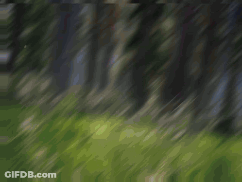 Man With Glasses And Skull Saying Our Brains Are Shrinking GIF