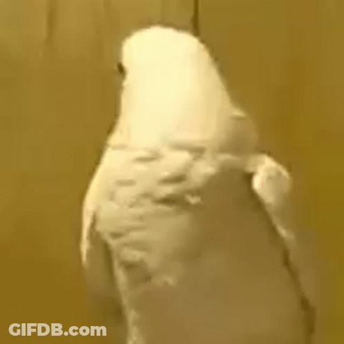 Man With Glasses And Tattoo Singing Into Microphone GIF
