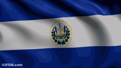 Man With Glasses Holding Blue And White Flag GIF