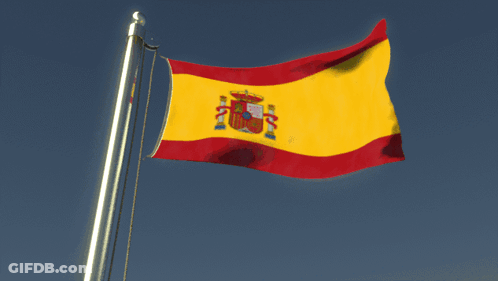 Man With Glasses Holding Flag In Front Of Green And Red Flag GIF