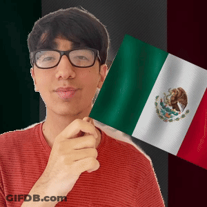 Man With Glasses Holding Mexican Flag GIF
