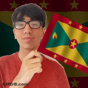 Man With Glasses Holding Small Flag GIF