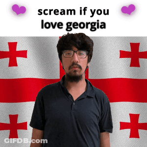 Man With Glasses In Front Of Georgia Flag GIF