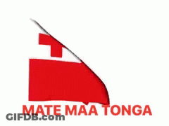Man With Glasses In Front Of Tonga Flag GIF