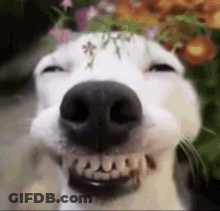 Man With Glasses Making Funny Face At Microphone Saying Umm GIF