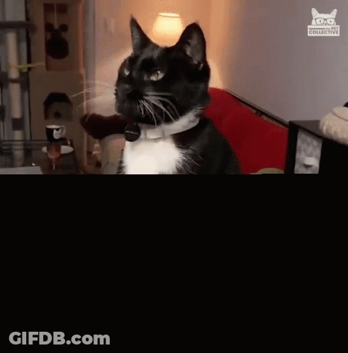 Man With Glasses Red Nose Touching Brick Wall GIF