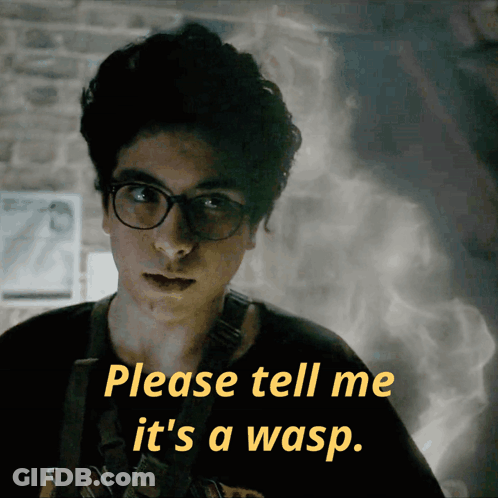Man With Glasses Saying Please Tell Me It's A Wasp GIF