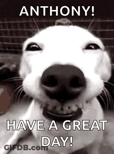 Man With Glasses Says You Okay GIF