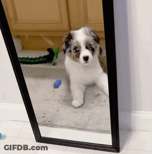 Man With Glasses Standing Beside Ruler 114 Cm 3' 9 GIF