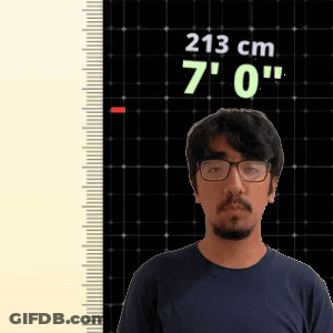 Man With Glasses Standing In Front Of Ruler Saying 213 Cm 7 0 GIF