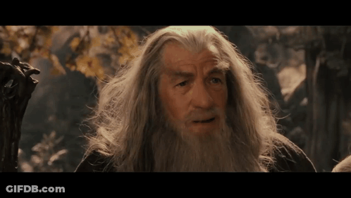 Man With Gray Hair And Beard Looking At Camera GIF
