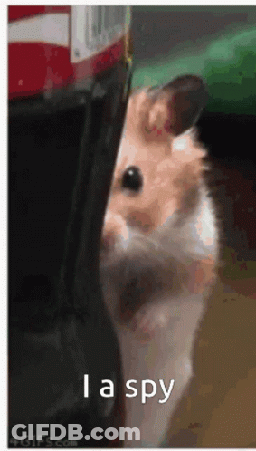 Man With Gray Hair And Mustache GIF