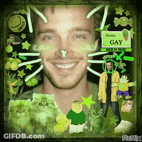Man With Green Cats And Homo Gay Sign GIF