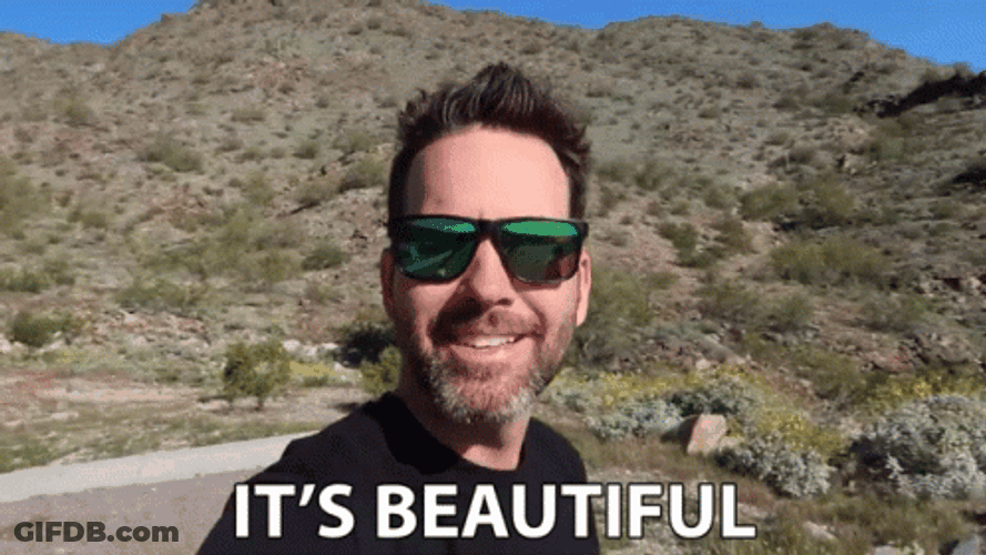 Man With Green Sunglasses It's Beautiful GIF