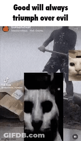 Man With Hammer, Cat, And Box GIF