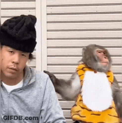 Man With Hat And Monkey In Tiger Costume GIF