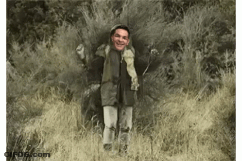 Man With Head In Tall Grass GIF