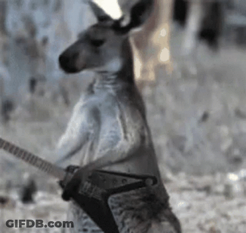 Man With Headphones And Scarf Got My Money On Australia GIF