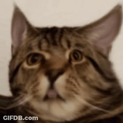 Man With Headphones I Już Do Pokuatuly GIF
