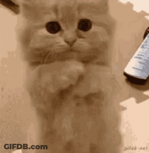 Man With Headphones Saying I Plead The Fifth GIF