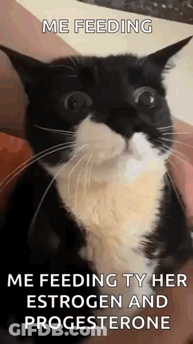 Man With Headphones Says Oh God Please Stop It GIF