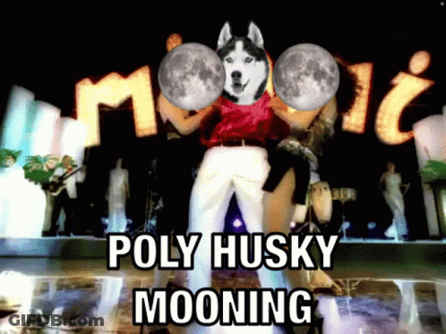 Man With Husky On Head Dancing In Front Of Poly Husky Mooning Sign GIF
