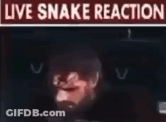 Man With Live Snake Reaction Sign GIF