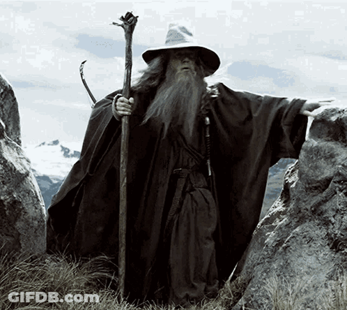 Man With Long Beard And Hat Holding Cane GIF