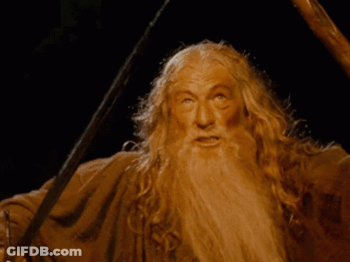 Man With Long Blonde Hair And Beard Holding Sword GIF