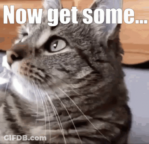Man With Long Blonde Hair And Beard Making Face GIF