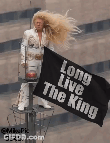 Man With Long Blonde Hair Holding Long Live The King Flag GIF