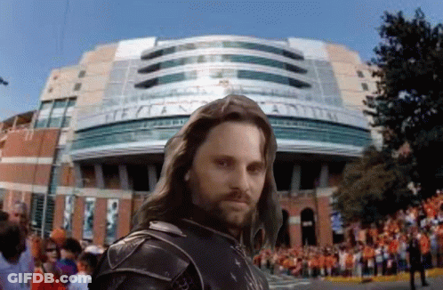 Man With Long Hair And Beard At Texas Capital Stadium GIF