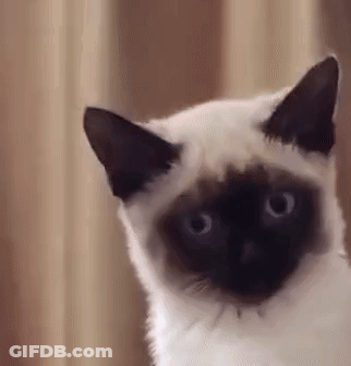 Man With Long Hair And Beard Holding Glass Saying Huh GIF
