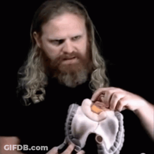 Man With Long Hair And Beard Holding Stuffed Animal GIF