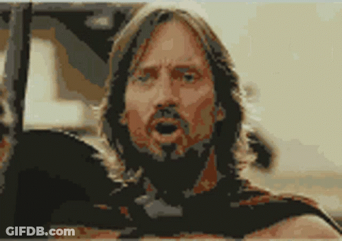 Man With Long Hair And Beard In Car GIF