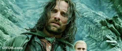 Man With Long Hair And Beard Next To Blonde Man GIF