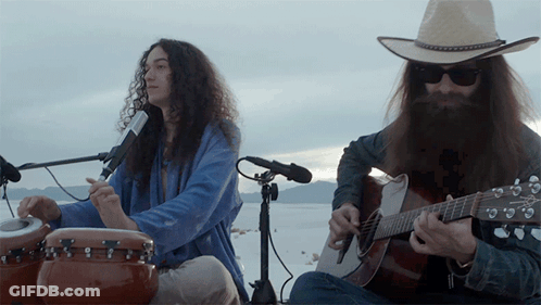 Man With Long Hair And Beard Playing Guitar GIF