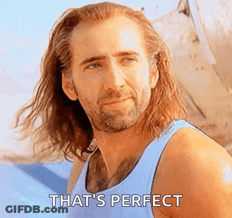Man With Long Hair And Beard Saying That's Perfect GIF