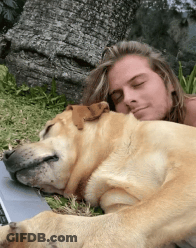 Man With Long Hair Laying Down With Dog On Lap GIF