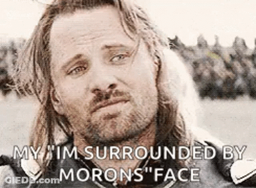Man With Long Hair Surrounded By Morons Face GIF