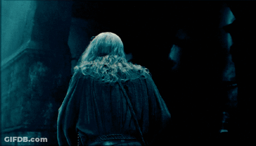 Man With Long White Hair And Beard GIF