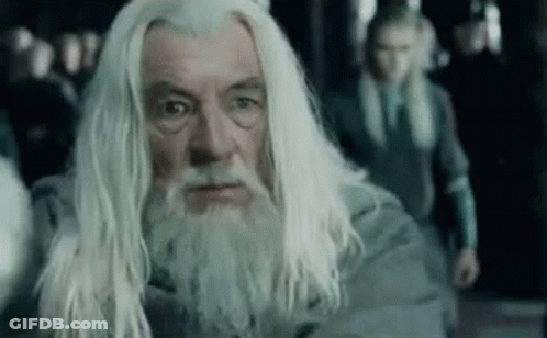 Man With Long White Hair And Beard Standing Before Group GIF