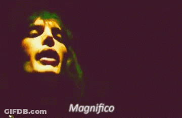 Man With Magnifico GIF